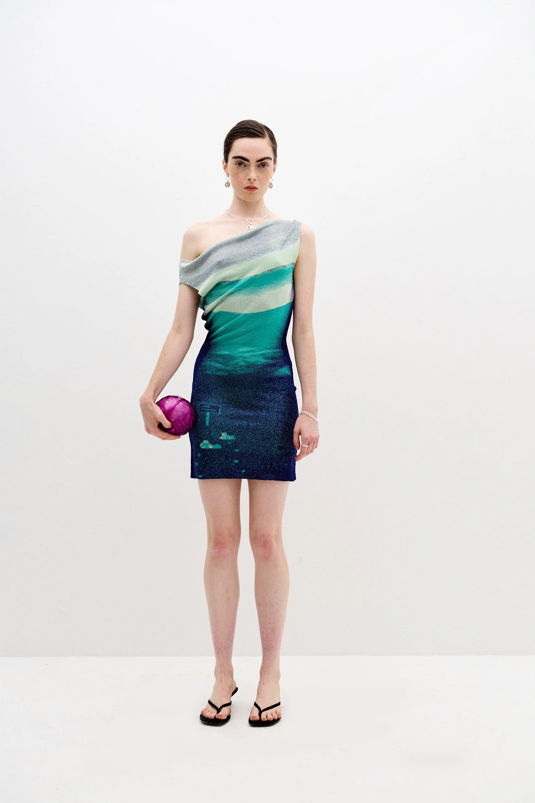 SALVIA LAKE PRINT MINI DRESS - Image 2
