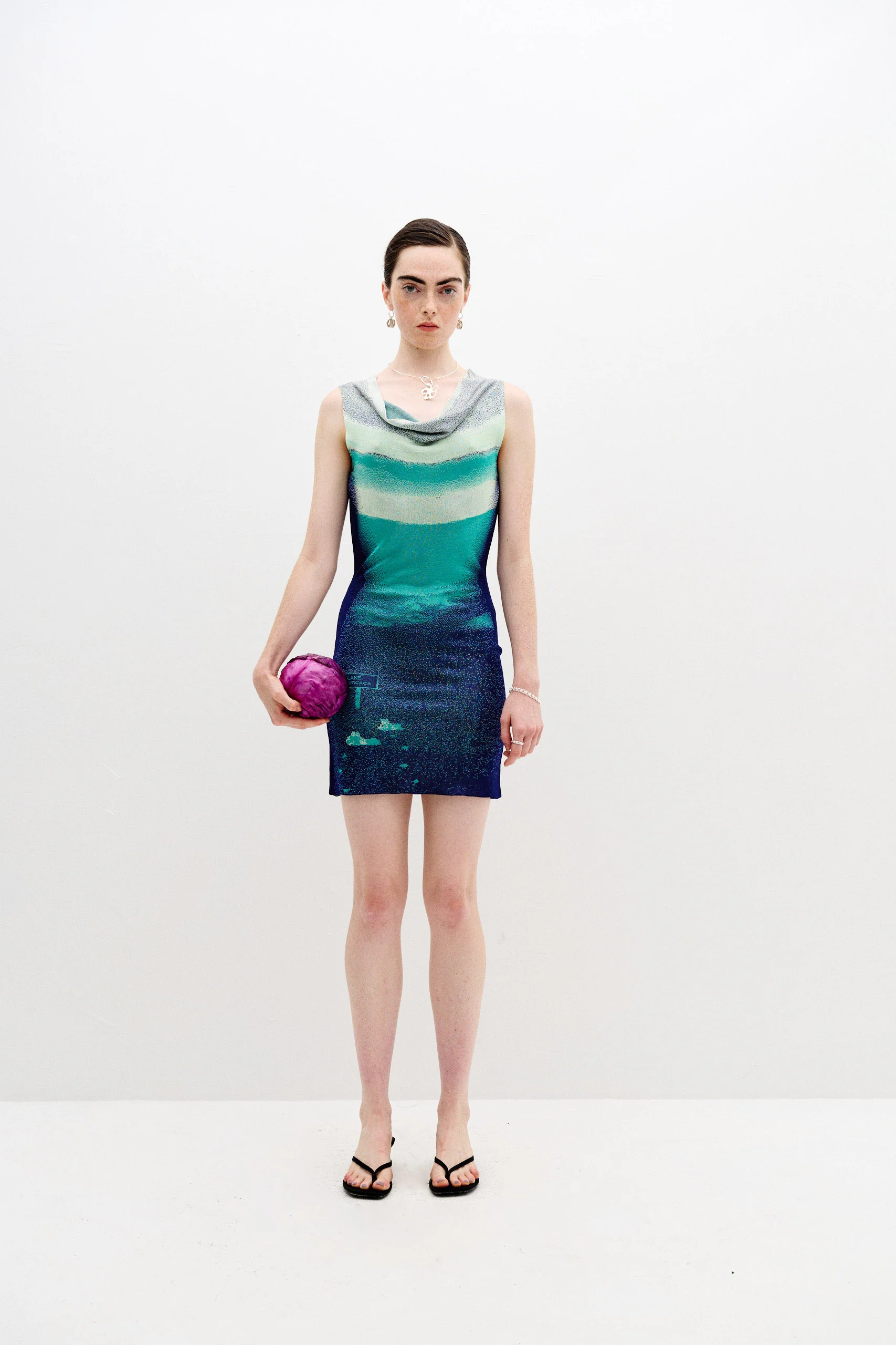 SALVIA LAKE PRINT MINI DRESS - Image 3